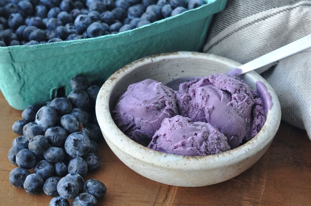 Fresh Creamy Homemade Blueberry Ice Cream Recipe • visual heart