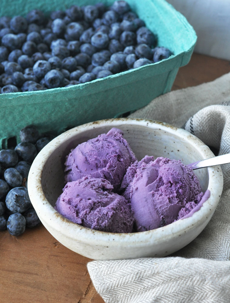Fresh Creamy Homemade Blueberry Ice Cream Recipe Visual Heart Creative Studio