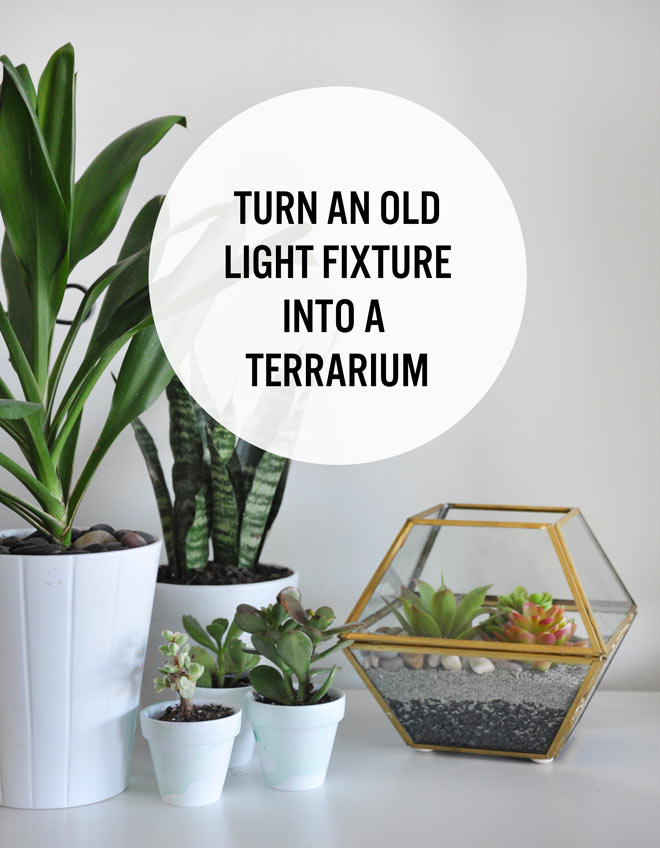 DIY terrarium using an old 1980s light fixture