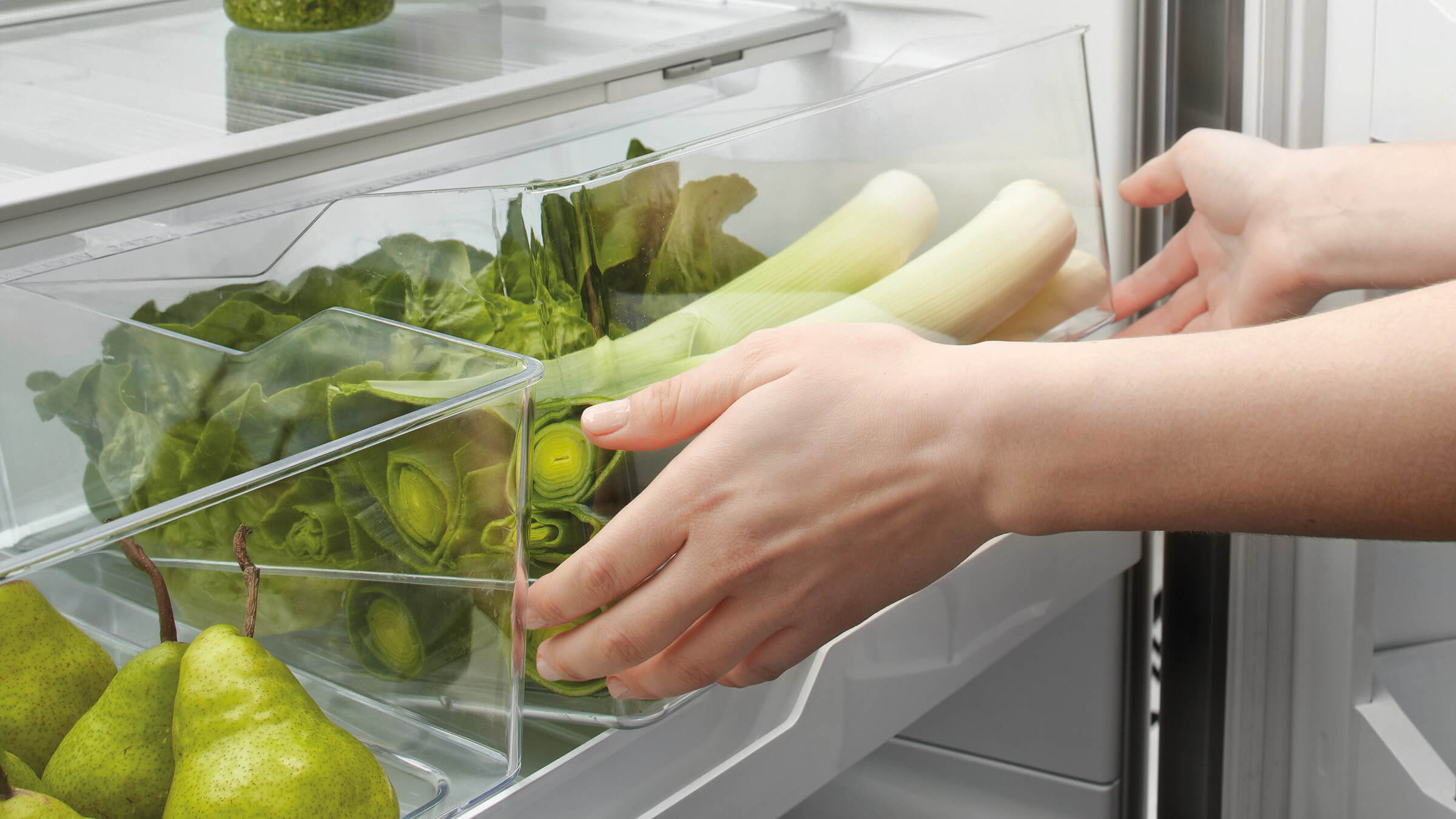 fisher-paykel-interior