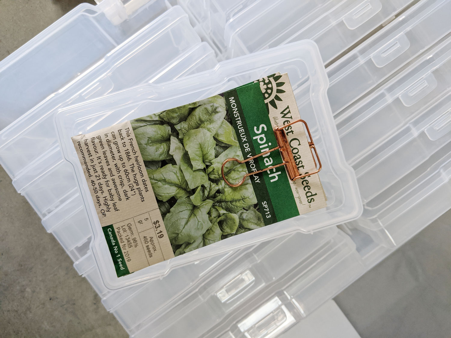 How to save seeds for gardening